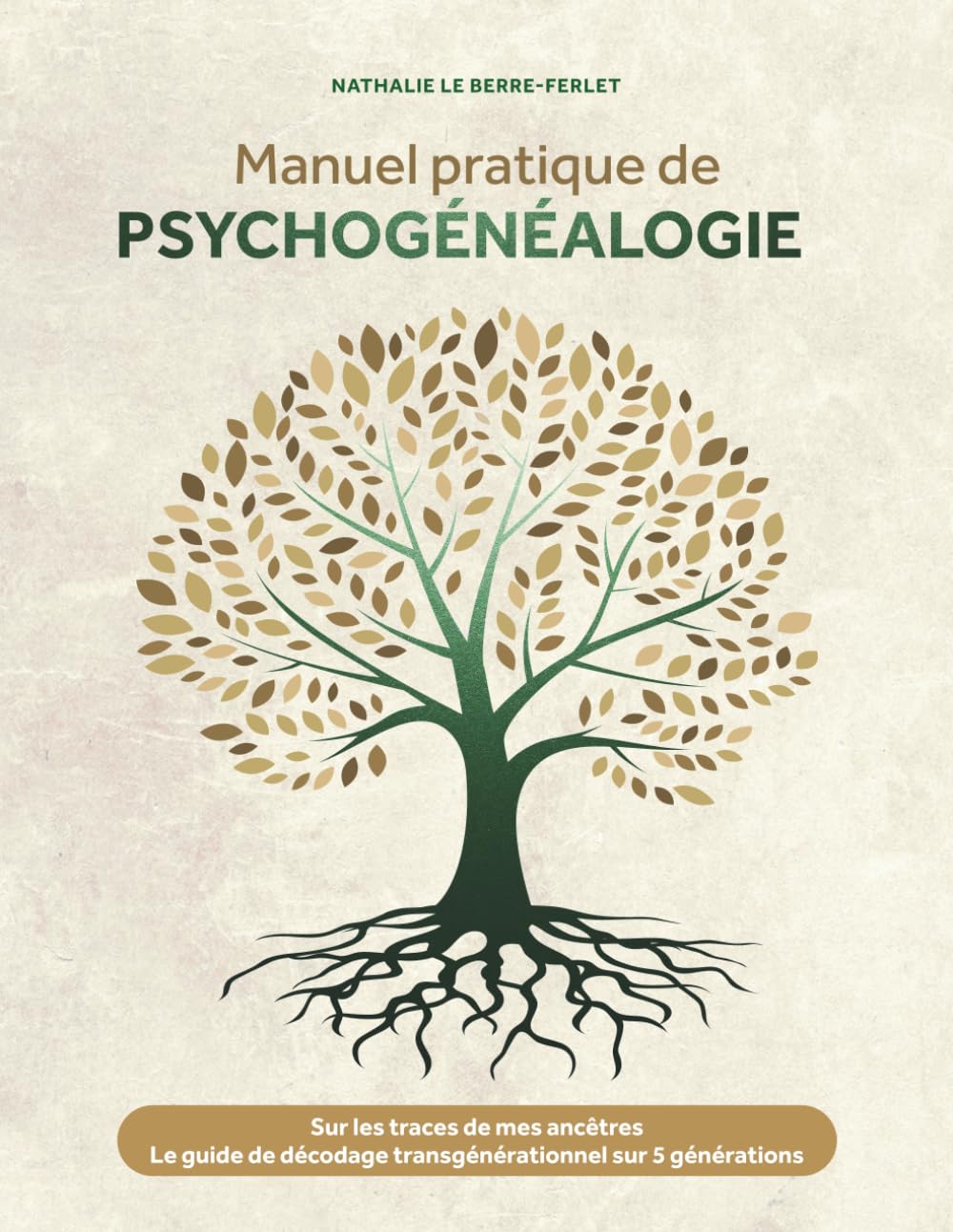 Couverture du Manuel pratique de psychogénéalogie